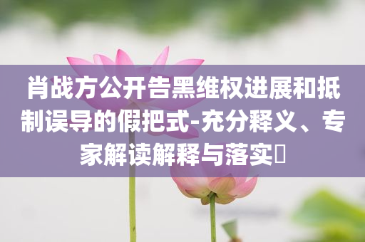 肖戰(zhàn)方公開(kāi)告黑維權(quán)進(jìn)展和抵制誤導(dǎo)的假把式-充分釋義、專(zhuān)家解讀解釋與落實(shí)?