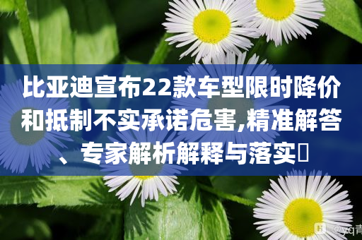 比亞迪宣布22款車型限時降價和抵制不實承諾危害,精準(zhǔn)解答、專家解析解釋與落實?