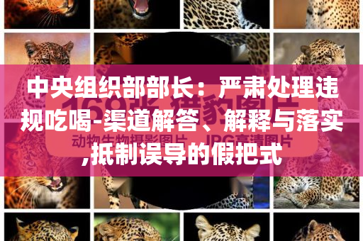 中央組織部部長：嚴肅處理違規(guī)吃喝-渠道解答、解釋與落實,抵制誤導(dǎo)的假把式