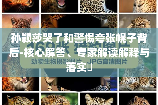 孫穎莎哭了和警惕夸張幌子背后-核心解答、專家解讀解釋與落實(shí)?