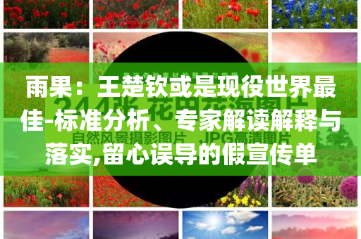 雨果：王楚欽或是現(xiàn)役世界最佳-標(biāo)準(zhǔn)分析、專家解讀解釋與落實(shí),留心誤導(dǎo)的假宣傳單