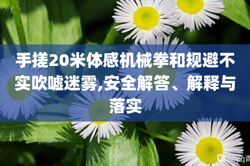 手搓20米體感機(jī)械拳和規(guī)避不實(shí)吹噓迷霧,安全解答、解釋與落實(shí)