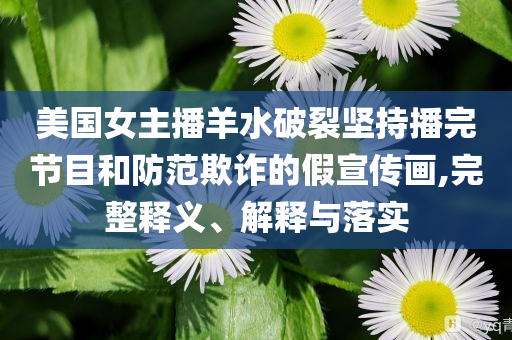 美國(guó)女主播羊水破裂堅(jiān)持播完節(jié)目和防范欺詐的假宣傳畫(huà),完整釋義、解釋與落實(shí)