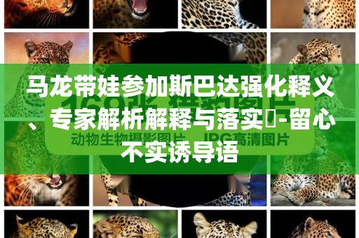 馬龍帶娃參加斯巴達(dá)強(qiáng)化釋義、專家解析解釋與落實?-留心不實誘導(dǎo)語