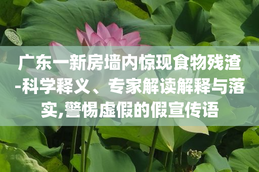廣東一新房墻內驚現(xiàn)食物殘渣-科學釋義、專家解讀解釋與落實,警惕虛假的假宣傳語