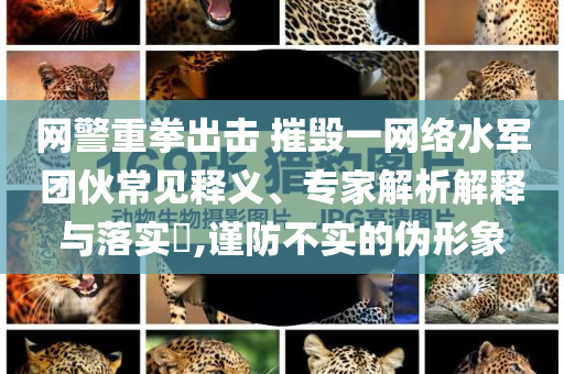 網(wǎng)警重拳出擊 摧毀一網(wǎng)絡(luò)水軍團伙常見釋義、專家解析解釋與落實?,謹防不實的偽形象