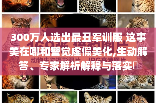 300萬人選出最丑軍訓(xùn)服 這事美在哪和警覺虛假美化,生動(dòng)解答、專家解析解釋與落實(shí)?