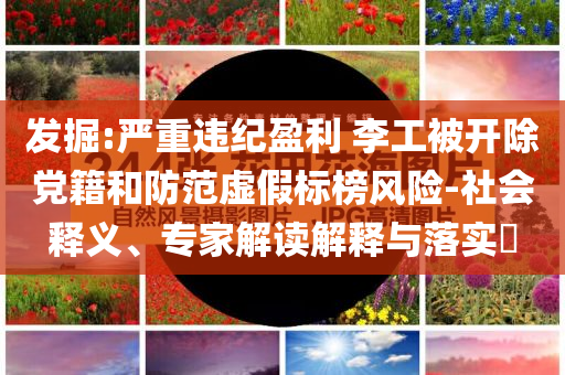 發(fā)掘:嚴(yán)重違紀(jì)盈利 李工被開除黨籍和防范虛假標(biāo)榜風(fēng)險-社會釋義、專家解讀解釋與落實?