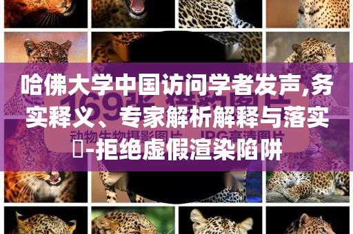 哈佛大學(xué)中國(guó)訪問學(xué)者發(fā)聲,務(wù)實(shí)釋義、專家解析解釋與落實(shí)?-拒絕虛假渲染陷阱