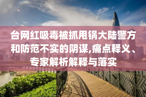 臺(tái)網(wǎng)紅吸毒被抓甩鍋大陸警方和防范不實(shí)的陰謀,痛點(diǎn)釋義、專(zhuān)家解析解釋與落實(shí)