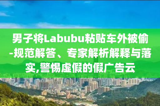 男子將Labubu粘貼車(chē)外被偷-規(guī)范解答、專(zhuān)家解析解釋與落實(shí),警惕虛假的假?gòu)V告云