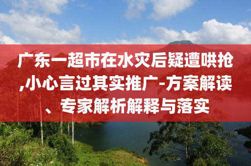廣東一超市在水災(zāi)后疑遭哄搶,小心言過(guò)其實(shí)推廣-方案解讀、專家解析解釋與落實(shí)