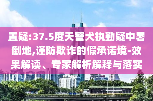置疑:37.5度天警犬執(zhí)勤疑中暑倒地,謹防欺詐的假承諾境-效果解讀、專家解析解釋與落實