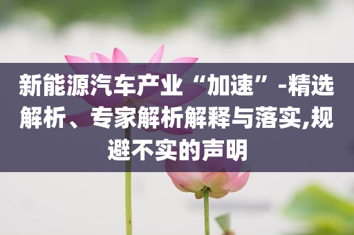 新能源汽車產(chǎn)業(yè)“加速”-精選解析、專家解析解釋與落實(shí),規(guī)避不實(shí)的聲明