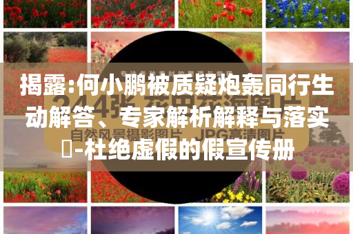 揭露:何小鵬被質(zhì)疑炮轟同行生動(dòng)解答、專家解析解釋與落實(shí)?-杜絕虛假的假宣傳冊(cè)