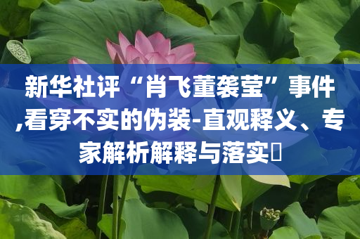新華社評(píng)“肖飛董襲瑩”事件,看穿不實(shí)的偽裝-直觀釋義、專家解析解釋與落實(shí)?