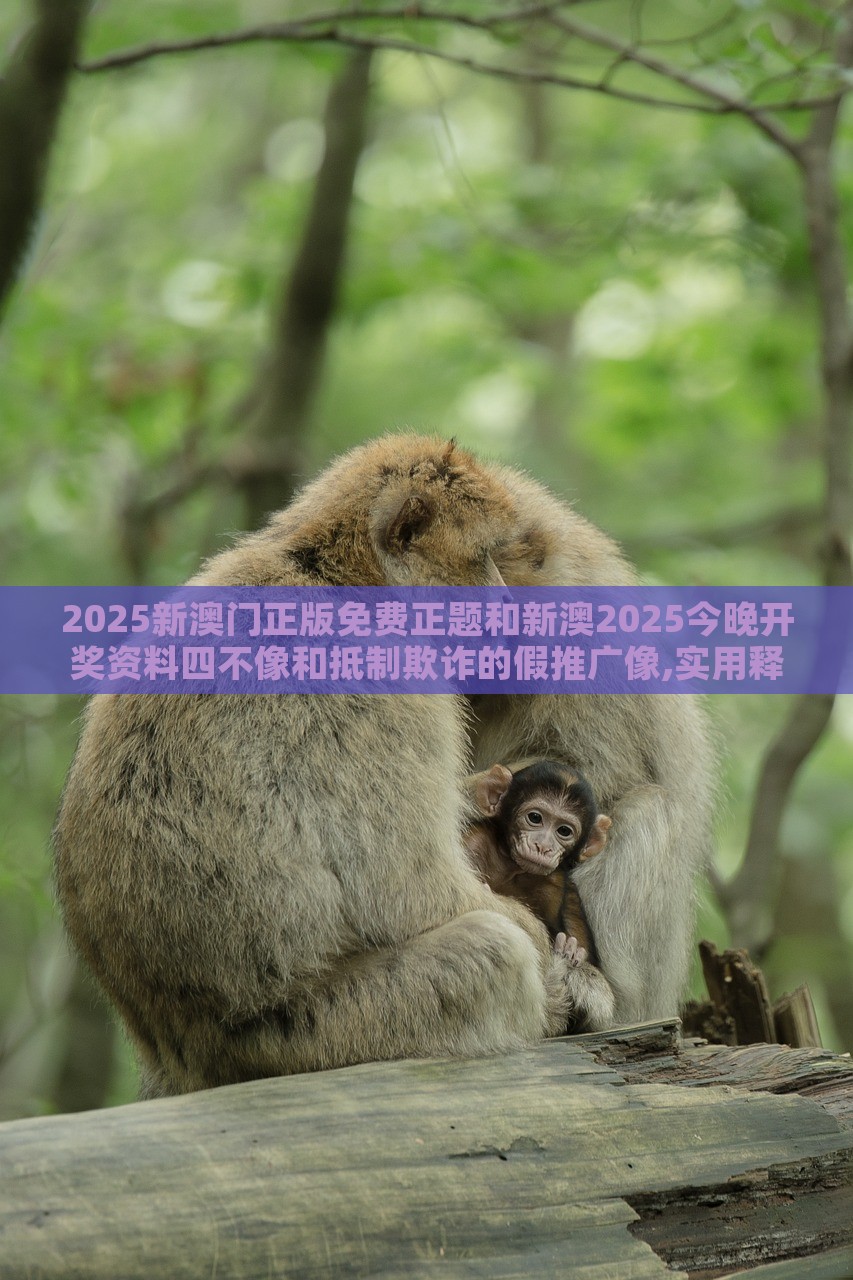 2025新澳門正版免費(fèi)正題和新澳2025今晚開獎資料四不像和抵制欺詐的假推廣像,實(shí)用釋義、解釋與落實(shí)