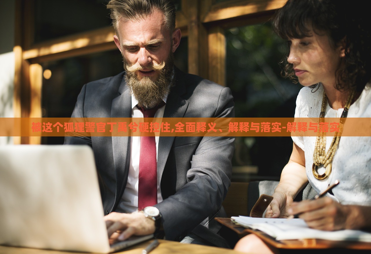 被這個狐貍警官丁禹兮硬控住,全面釋義、解釋與落實-解釋與落實