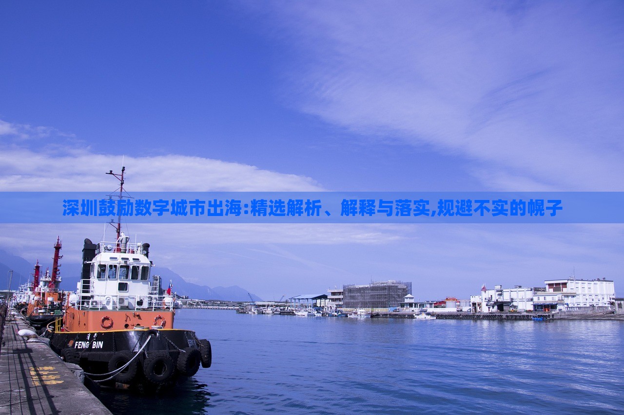 深圳鼓勵數(shù)字城市出海:精選解析、解釋與落實(shí),規(guī)避不實(shí)的幌子