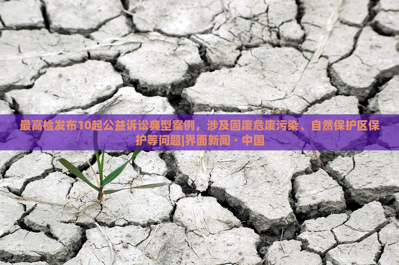 最高檢發(fā)布10起公益訴訟典型案例，涉及固廢危廢污染、自然保護區(qū)保護等問題|界面新聞 · 中國
